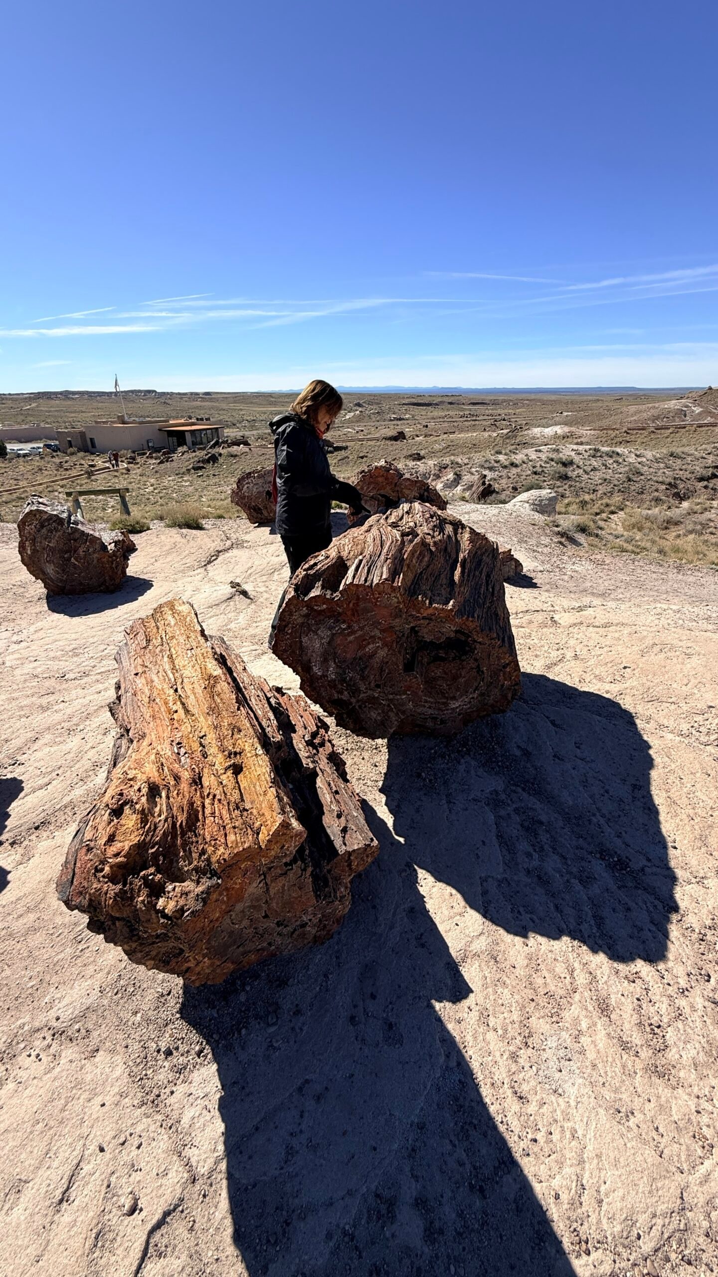 Petrified Forest National Park
